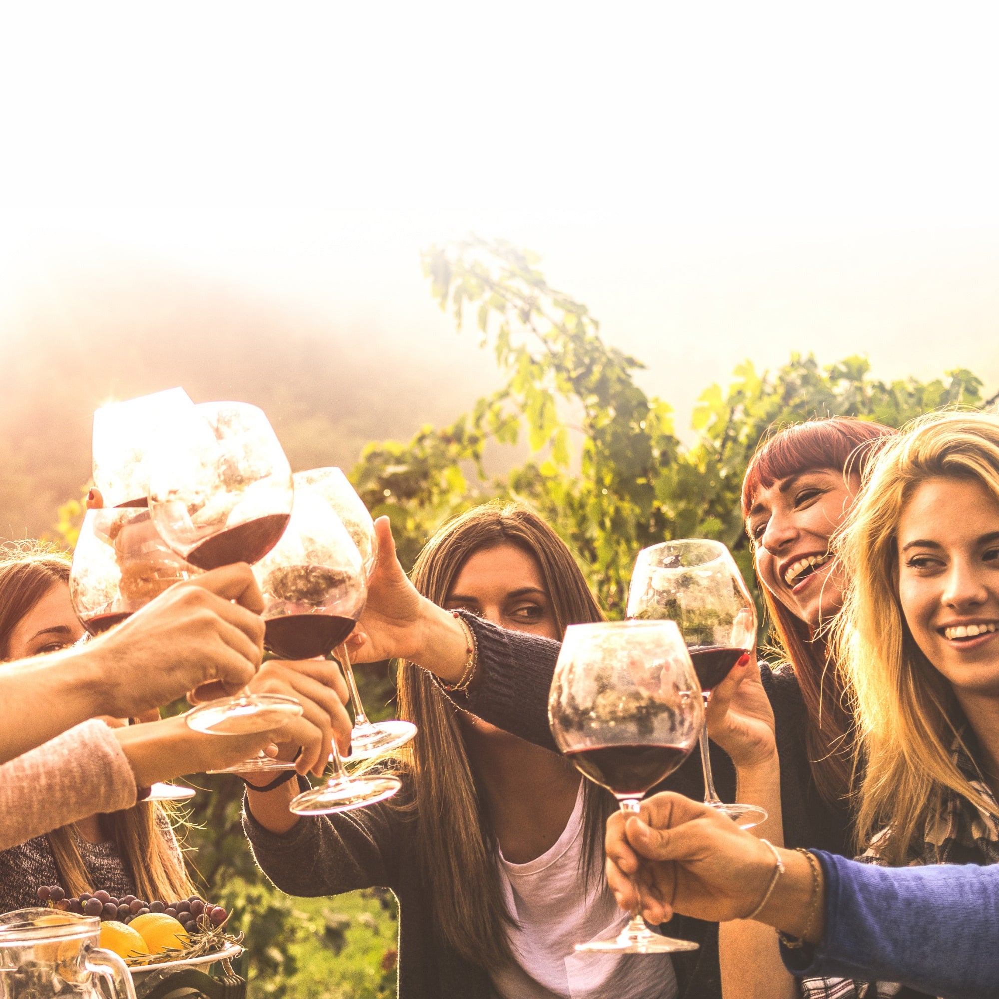 15L vyno gaminimo rinkinys