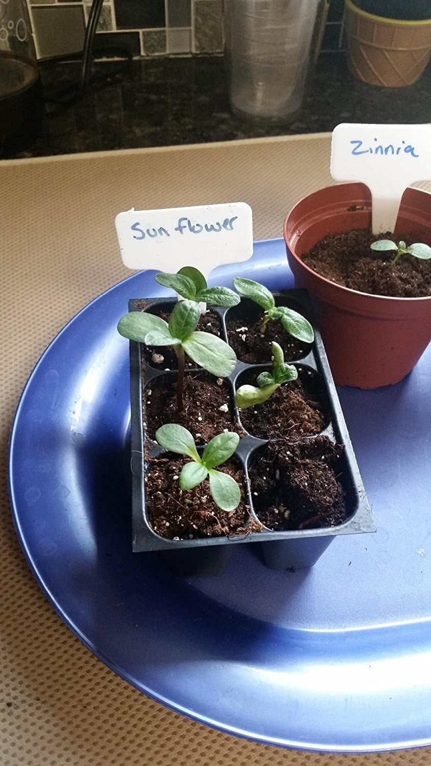 Augalų žymekliai, 10 vnt.