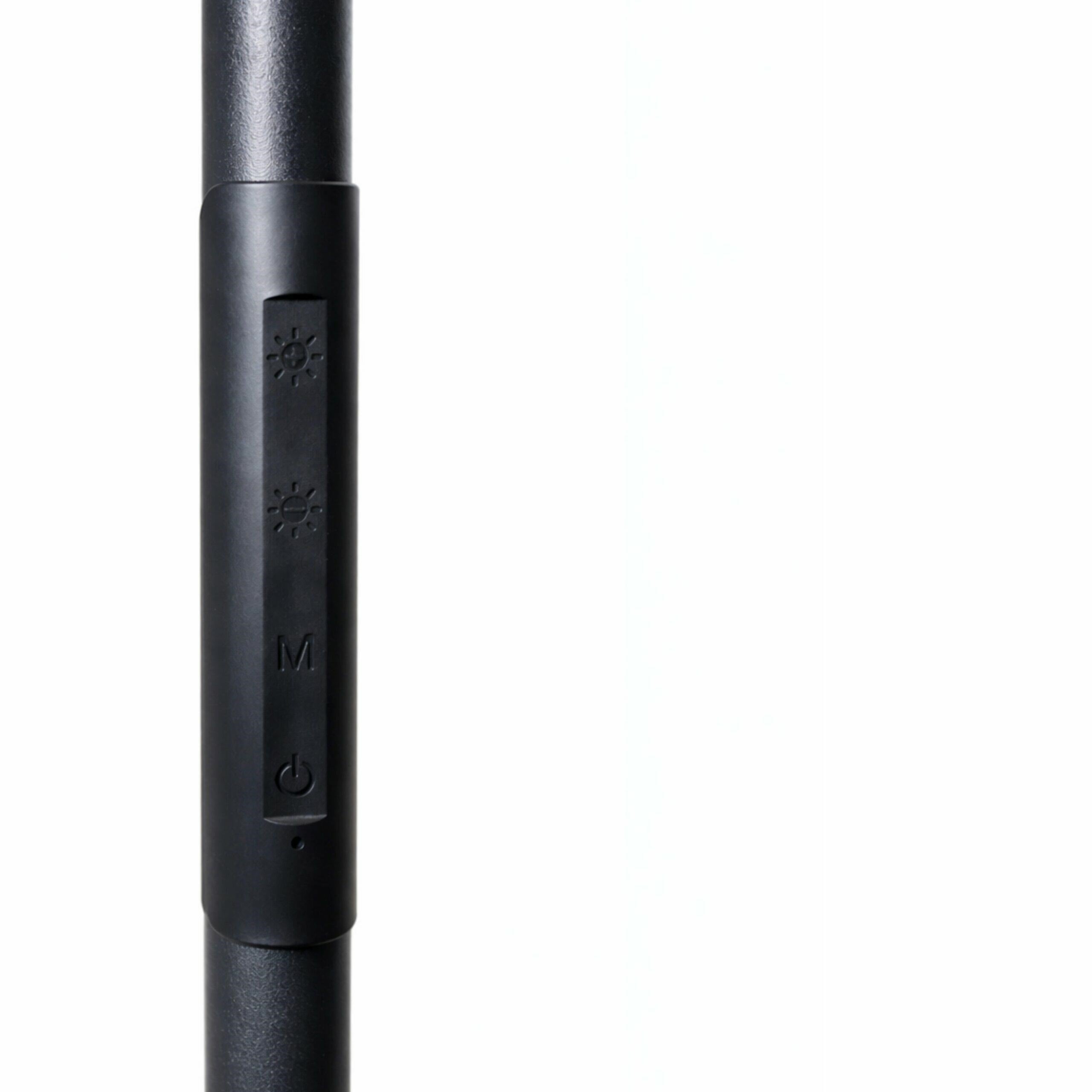 LED Toršeras