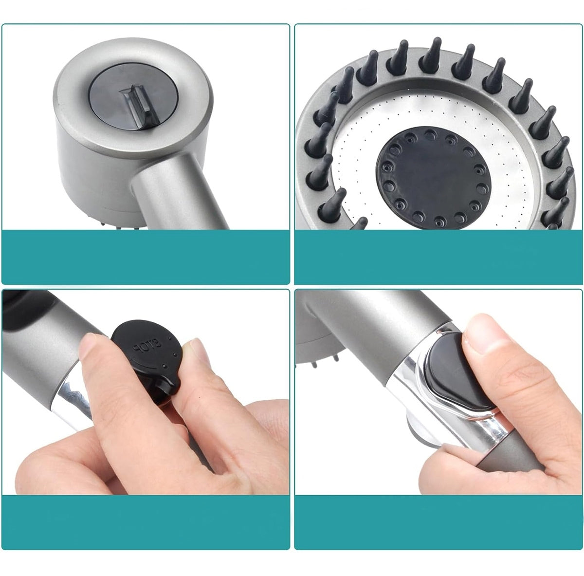 Pilka dušo galvutė