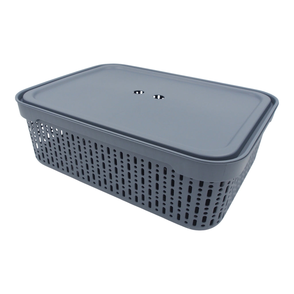 Plastikinė dėžutė su dangčiu, 30×20×9 cm PILKA