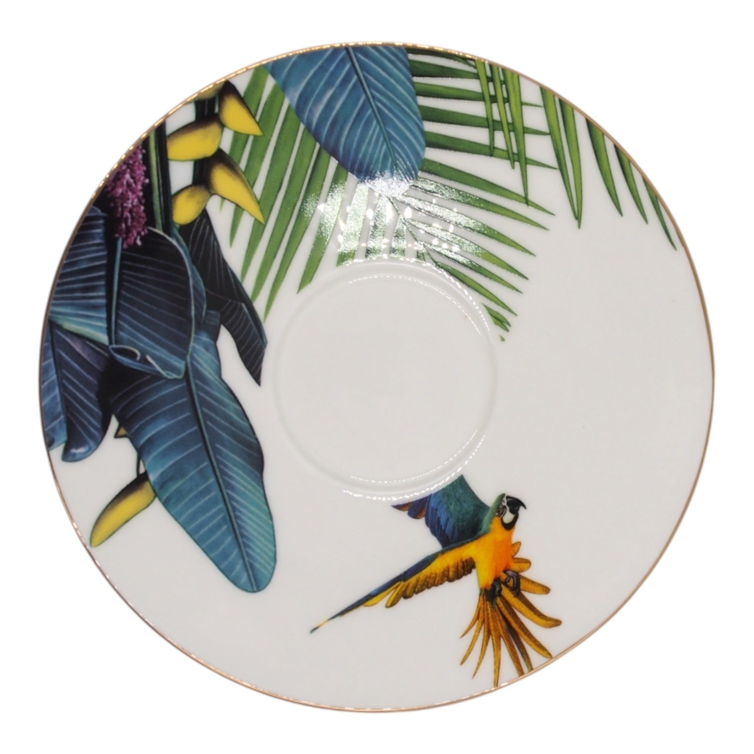 Porcelianinis puodelis su lėkštute, 275 ml, papūgos motyvas