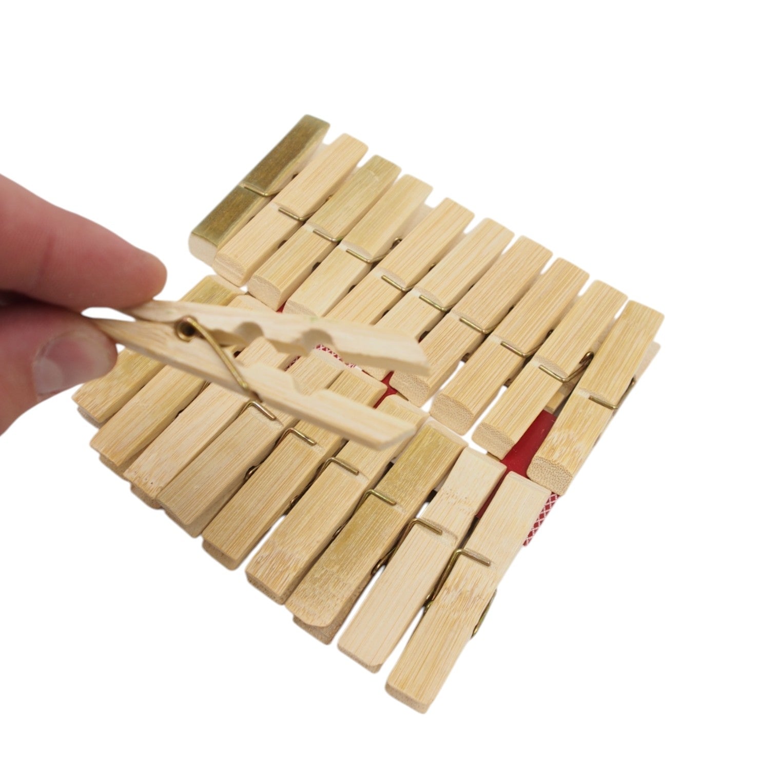 Skalbinių segtukai "Bamboo"